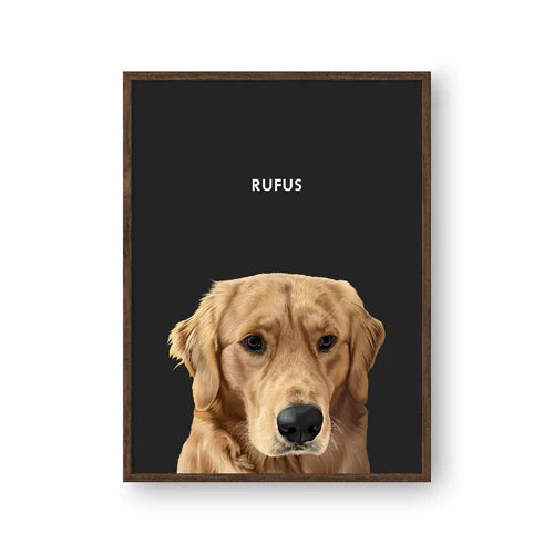 Modern Pet Portrait