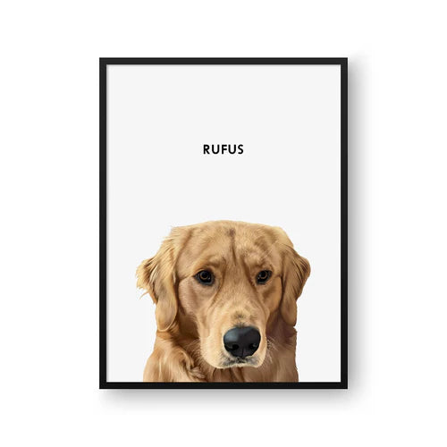 Modern Pet Portrait